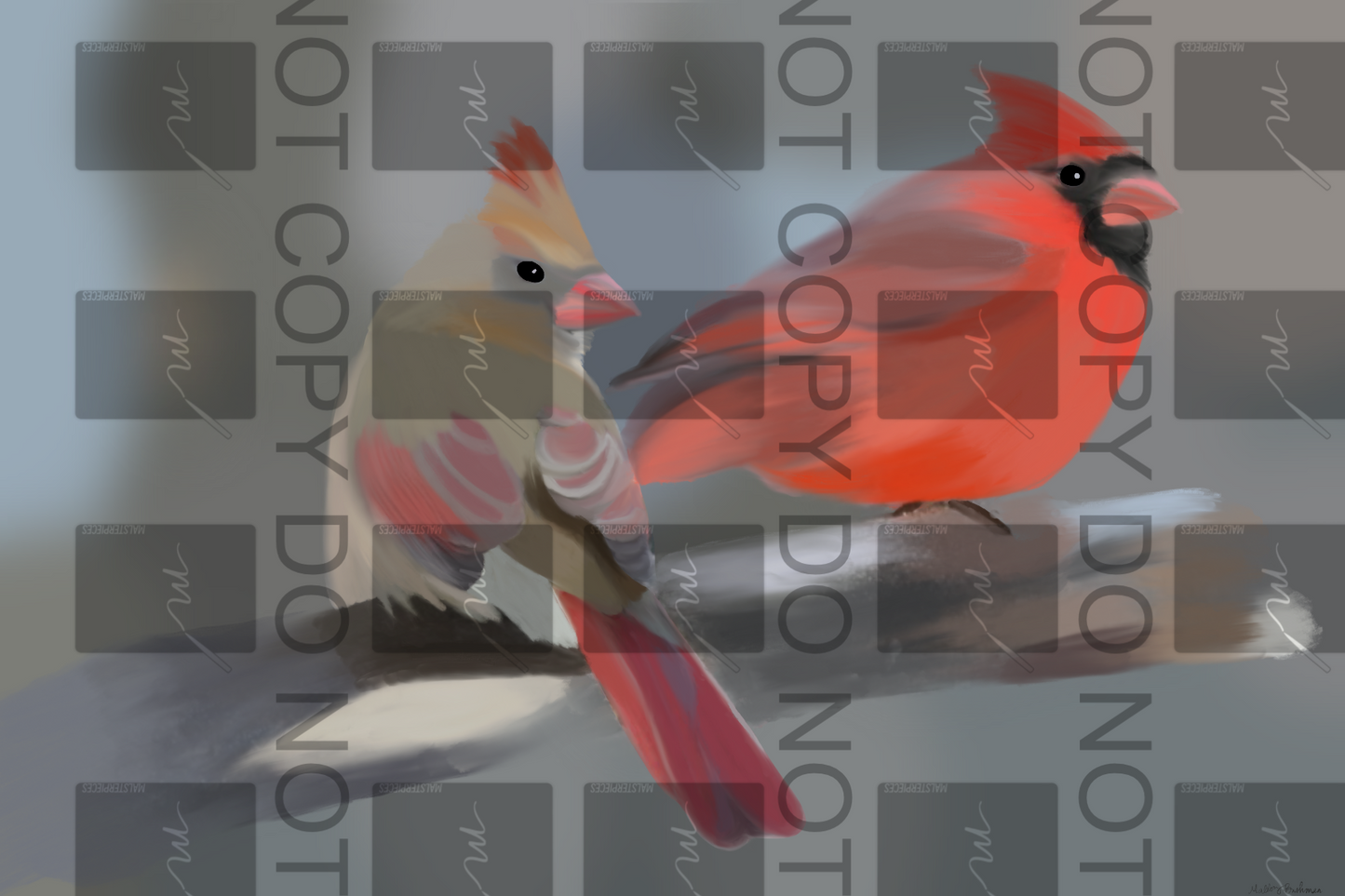 Cardinals PNG