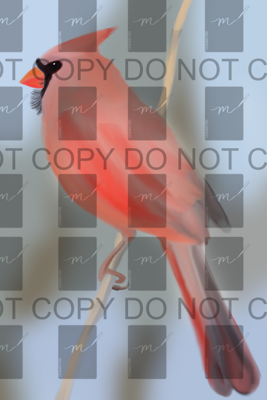 Cardinal Print PNG