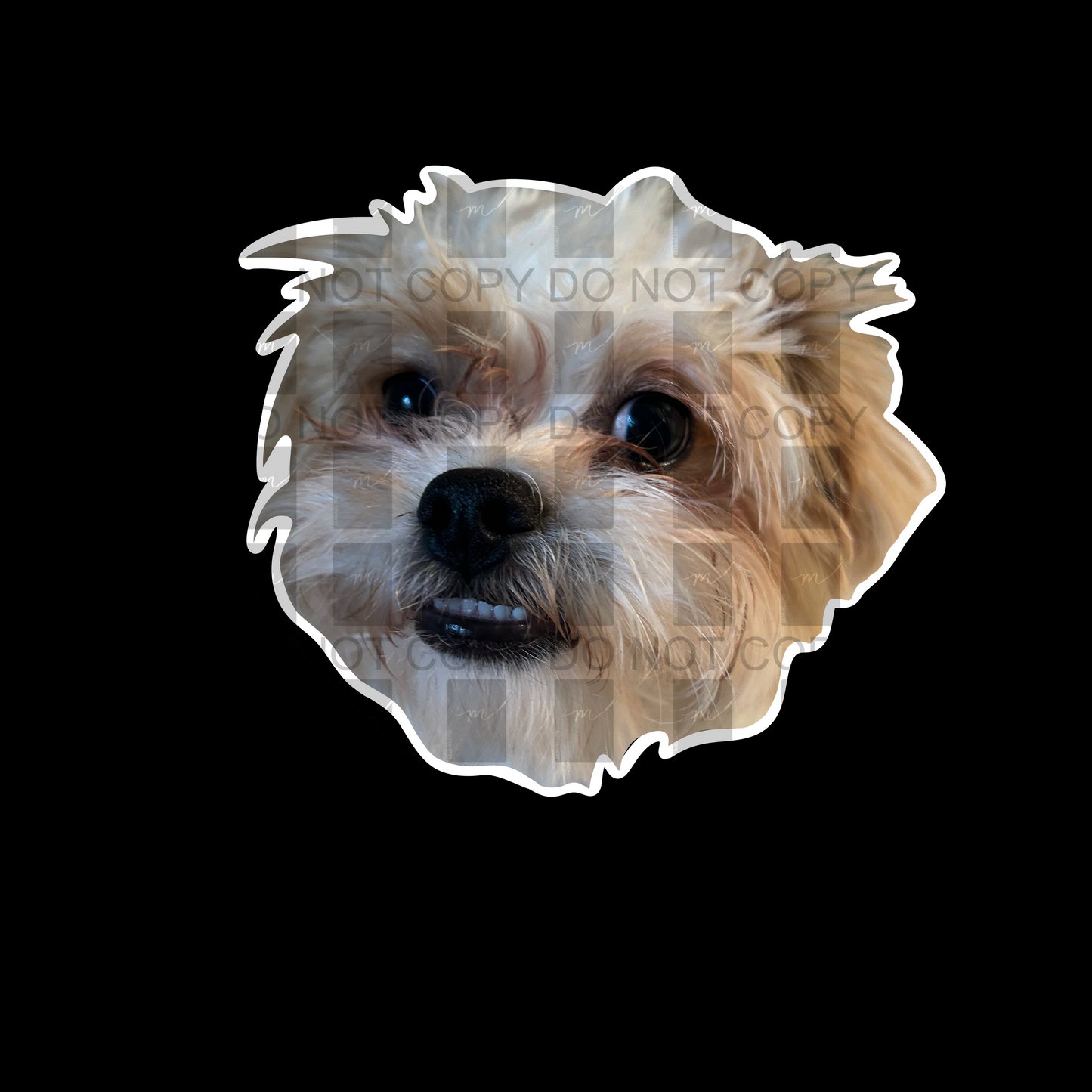 Custom Pet Sticker