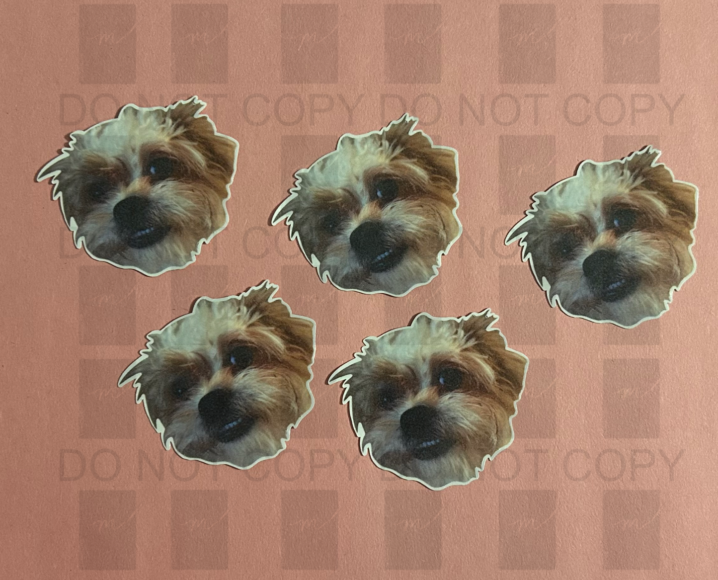 Custom Pet Sticker