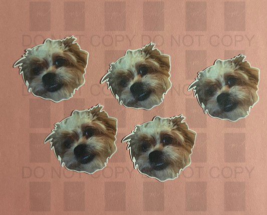 Custom Pet Sticker